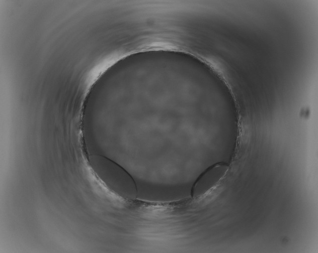 X0000115081373200911171143
