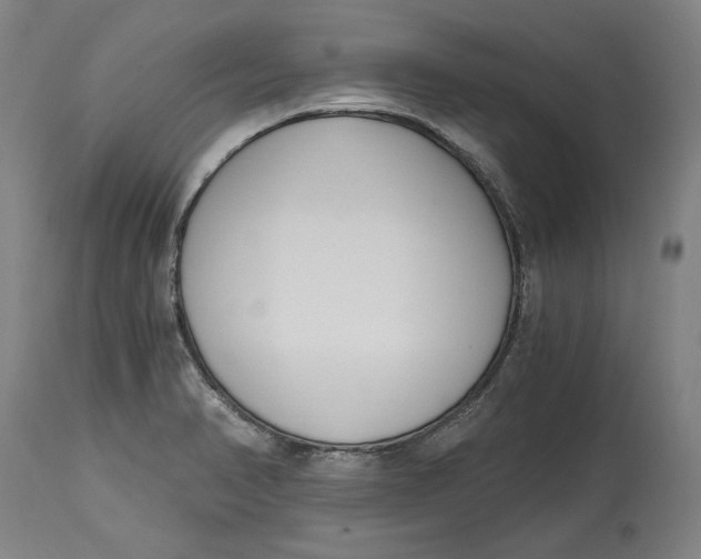 X0000115081374200911171143