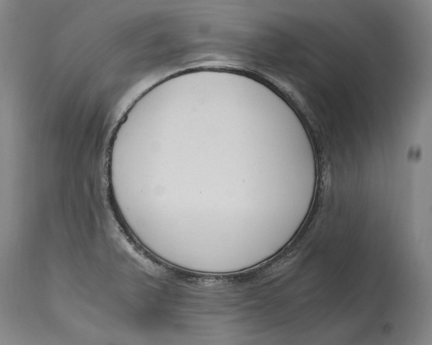 X0000115081375200911171143