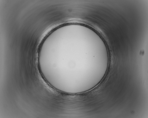 X0000115081376200911171143