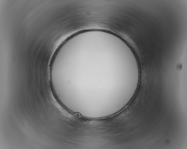 X0000115081380200911171143