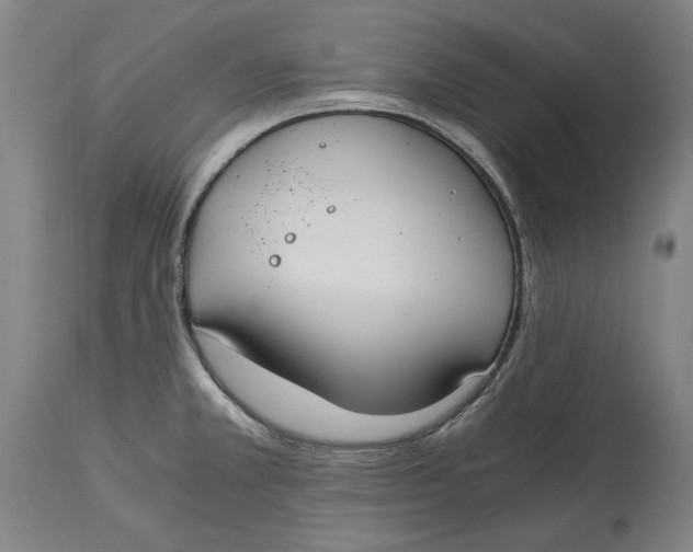 X0000115081381200911171143
