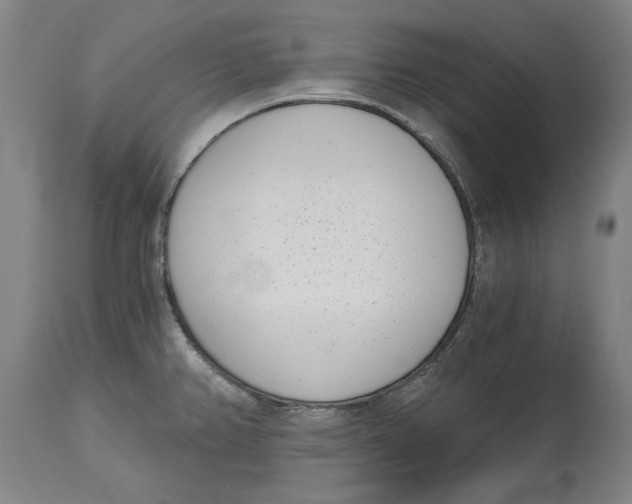 X0000115081382200911171143