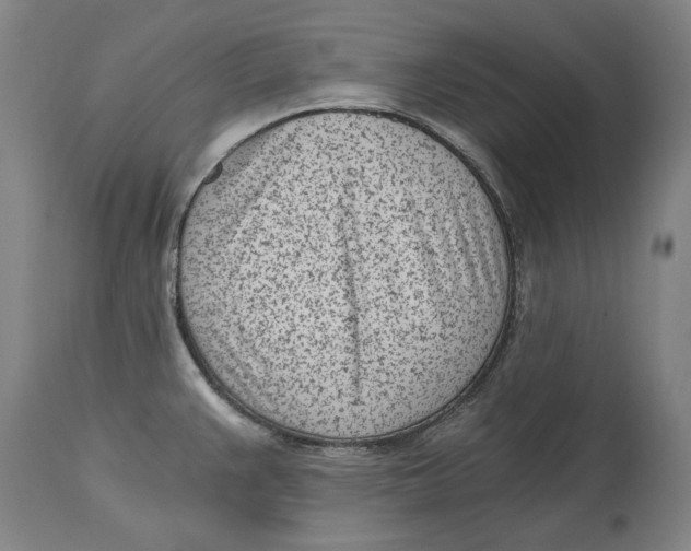 X0000115081383200911171143