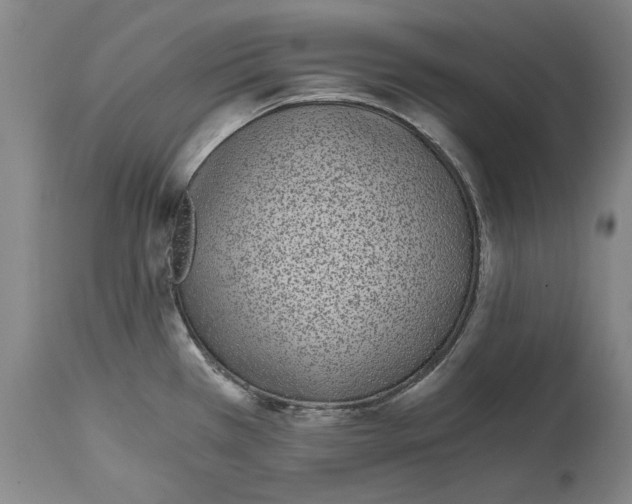 X0000115081385200911171143