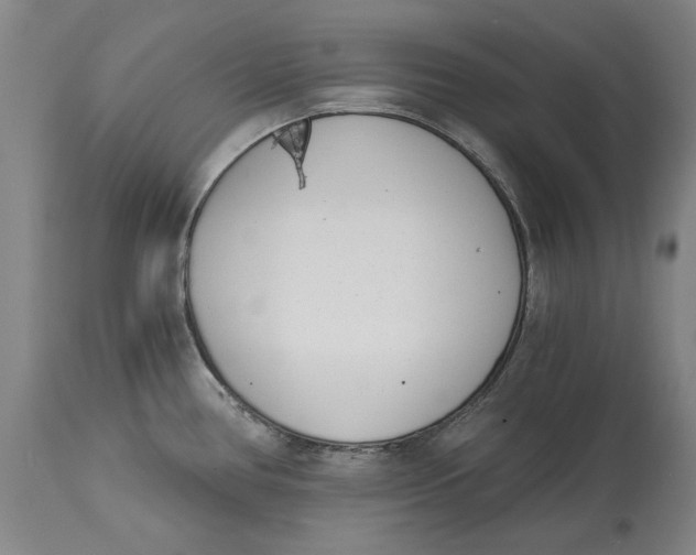 X0000115081386200911171143