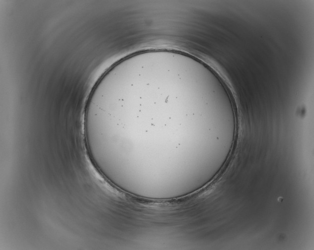 X0000115081388200911171143