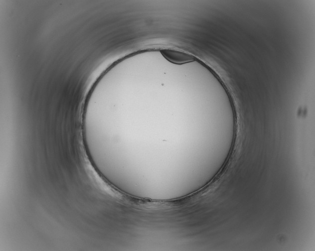 X0000115081392200911171143