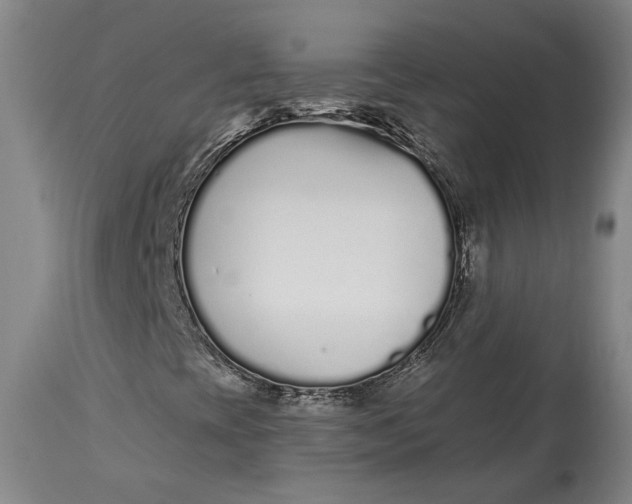 X0000115081393200911171142