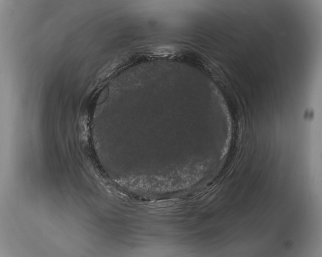 X0000115081394200911171142