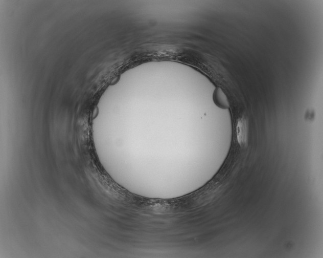 X0000115081395200911171142