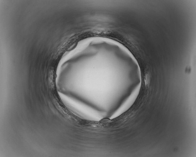 X0000115081396200911171142