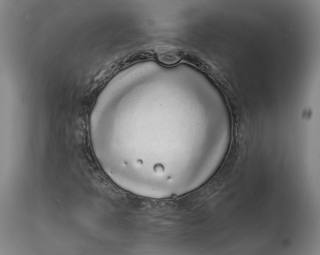 X0000115081397200911171142