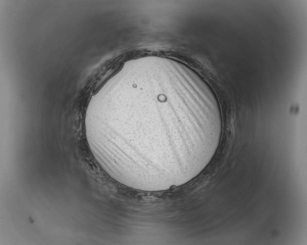 X0000115081398200911171142