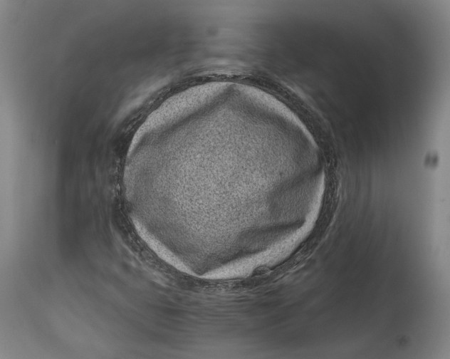 X0000115081399200911171142