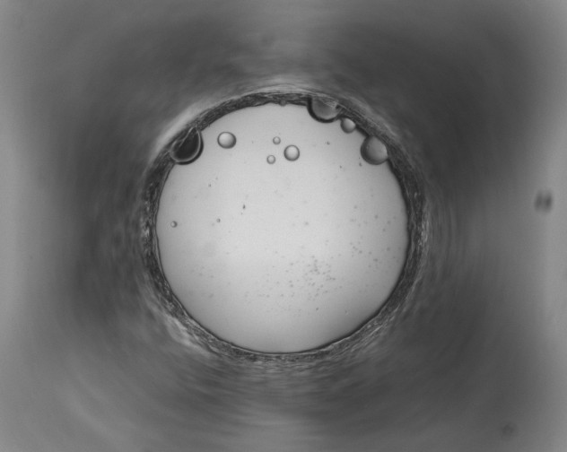 X0000115081400200911171142