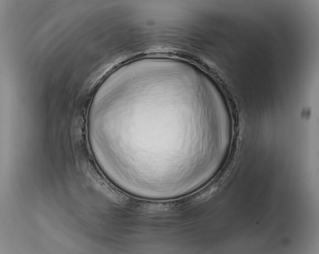 X0000115081401200911171142