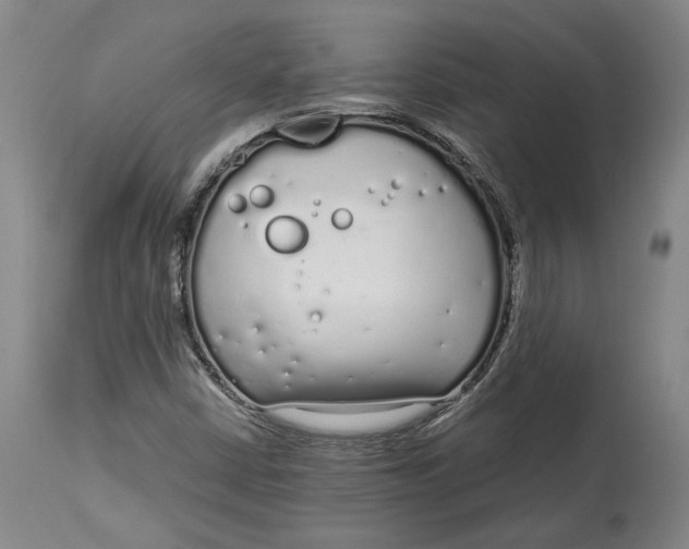 X0000115081402200911171142