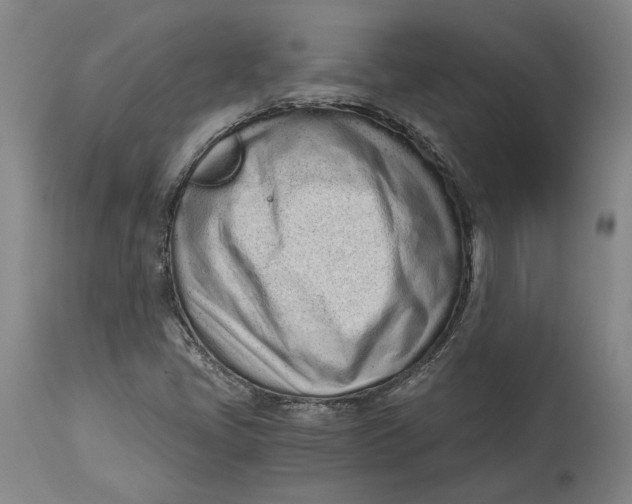 X0000115081405200911171142
