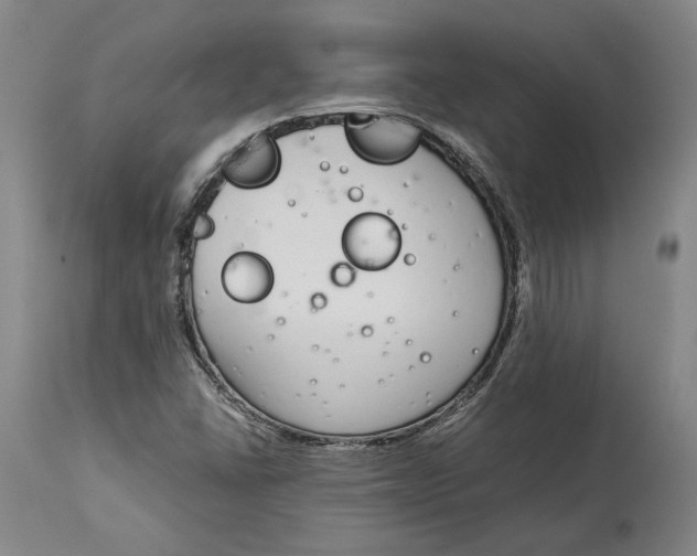 X0000115081406200911171142