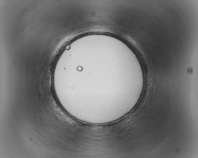 X0000115081408200911171142