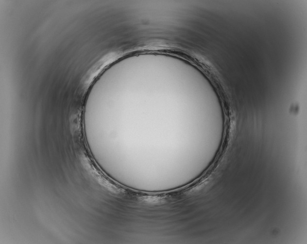 X0000115081409200911171142