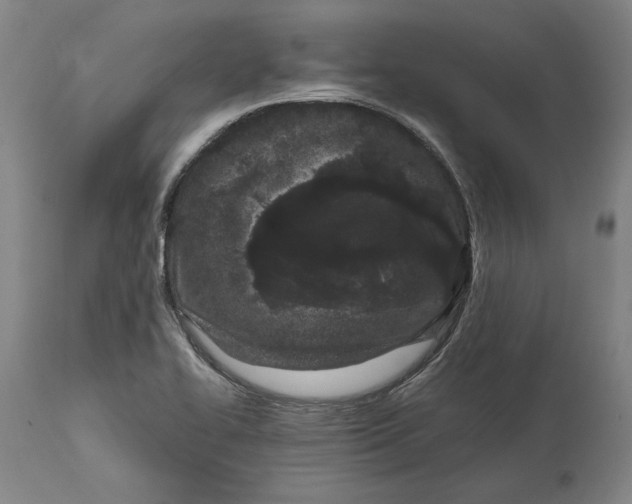 X0000115081414200911171142