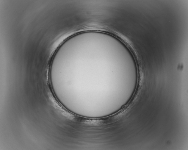 X0000115081415200911171142