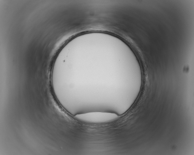 X0000115081416200911171142