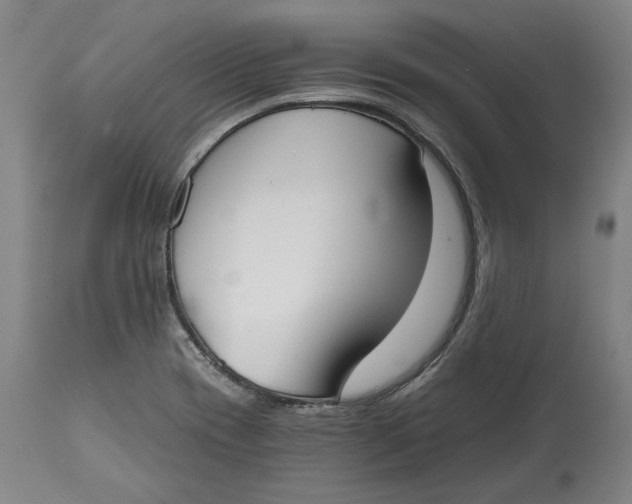 X0000115081417200911171142