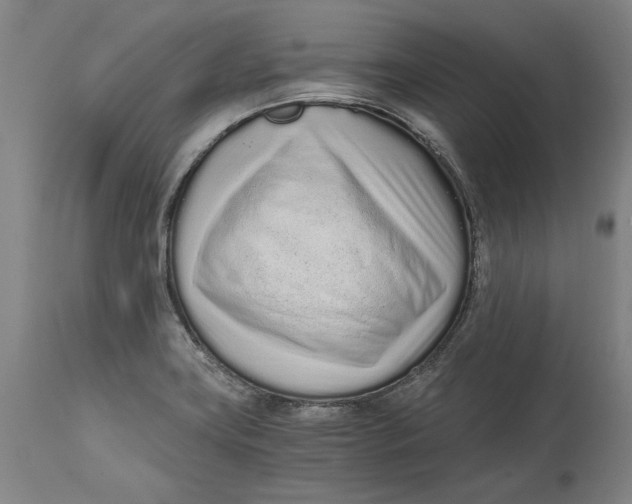X0000115081419200911171142