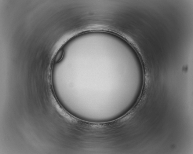 X0000115081421200911171142