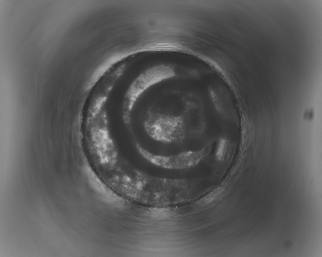 X0000115081422200911171142