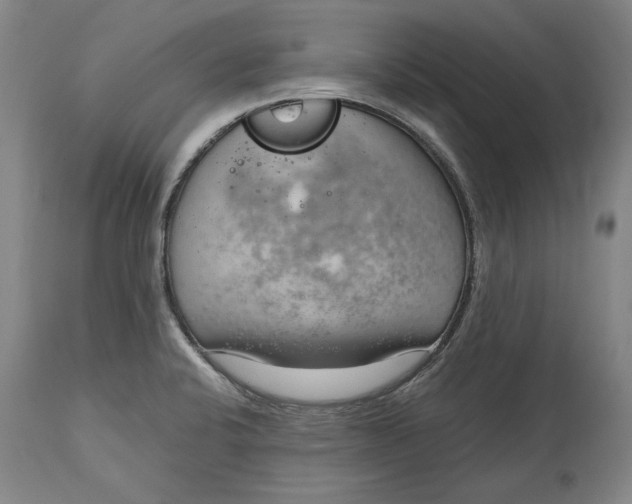 X0000115081424200911171142