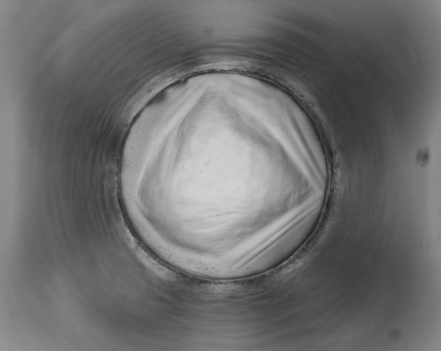 X0000115081425200911171142