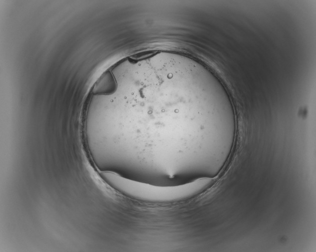 X0000115081426200911171142