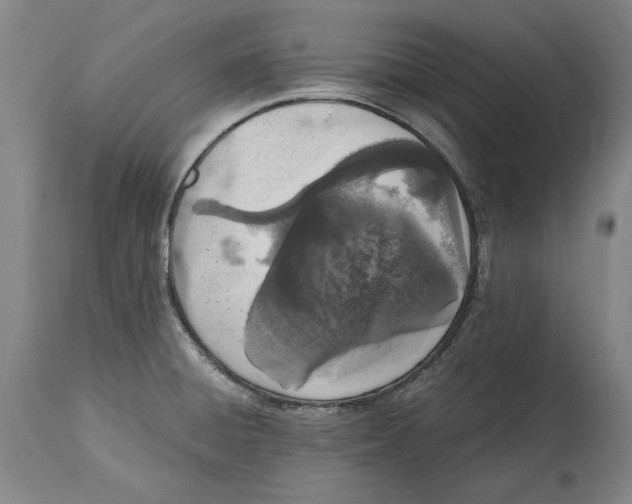 X0000115081428200911171143