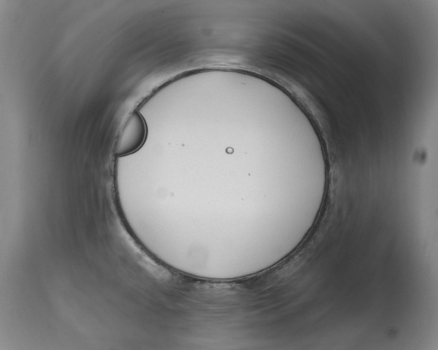 X0000115081432200911171143