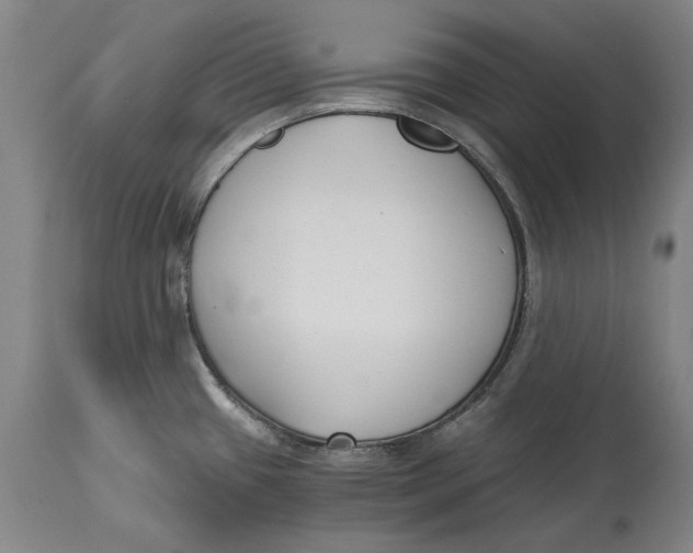 X0000115081433200911171143