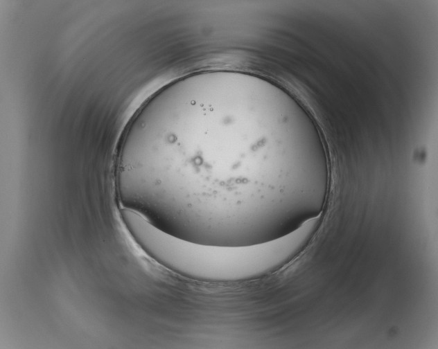 X0000115081434200911171143