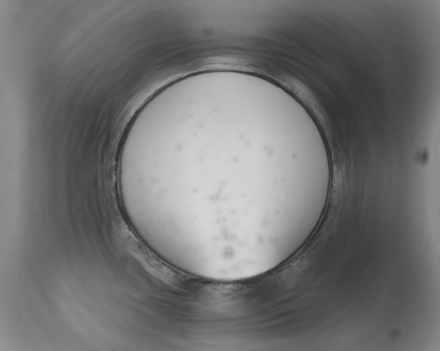 X0000115081435200911171143
