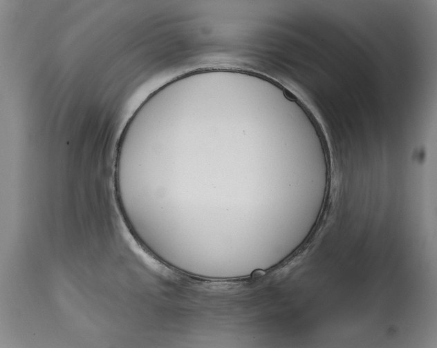 X0000115081437200911171143