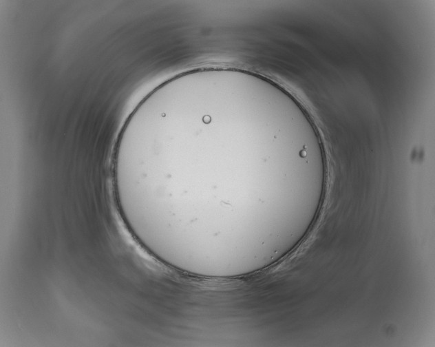 X0000115081440200911171143