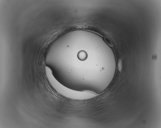 X0000115081444200911171142
