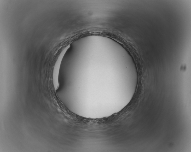 X0000115081445200911171142