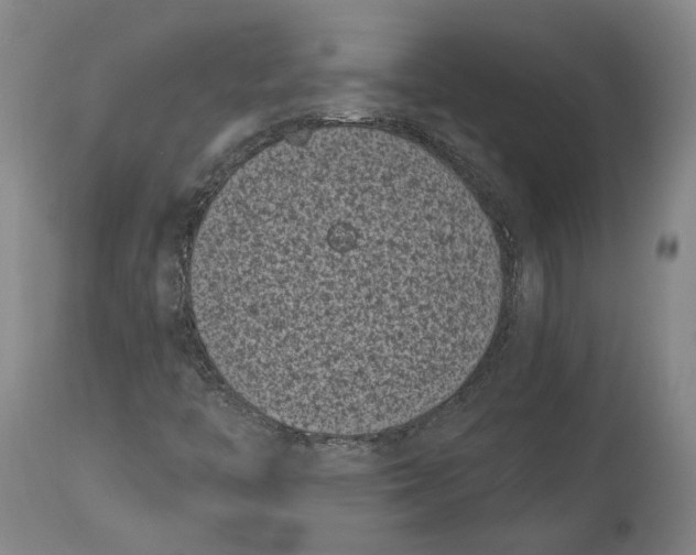 X0000115081446200911171142