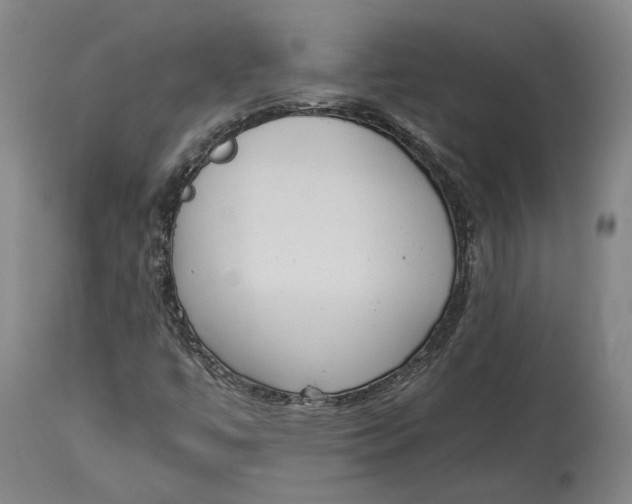 X0000115081447200911171142