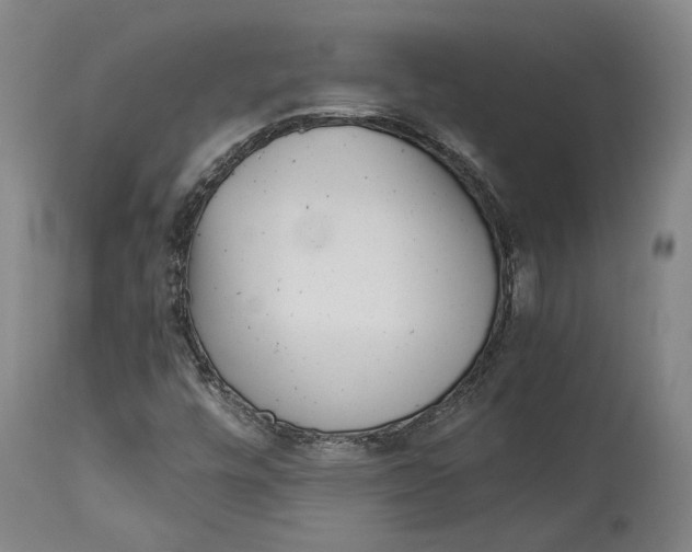 X0000115081448200911171142