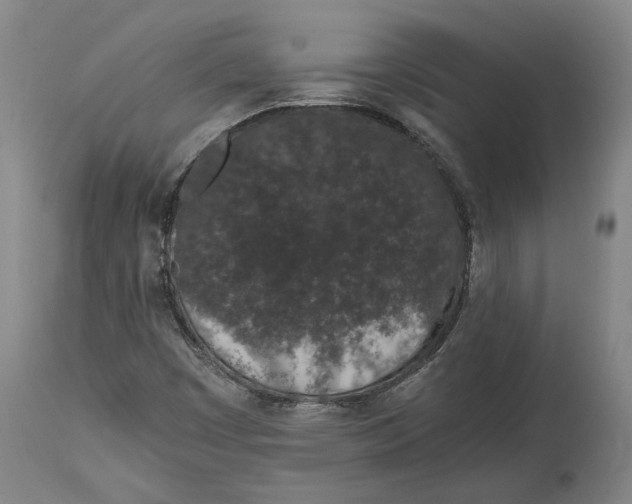 X0000115081449200911171142