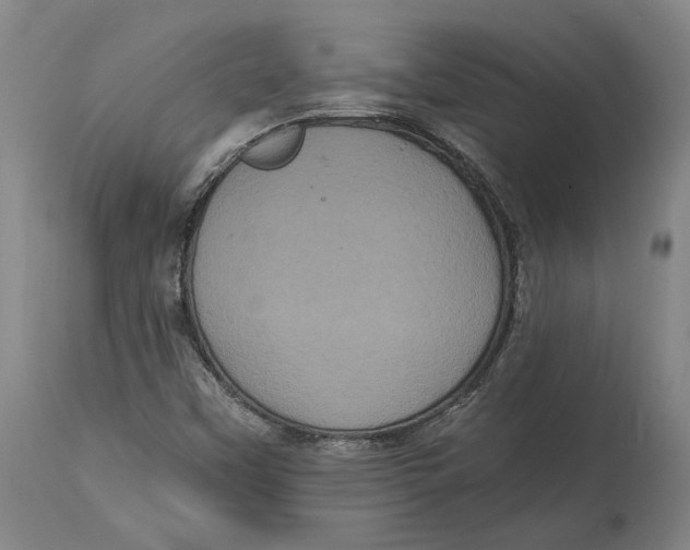 X0000115081451200911171142